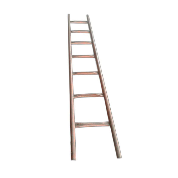 MS Ladder